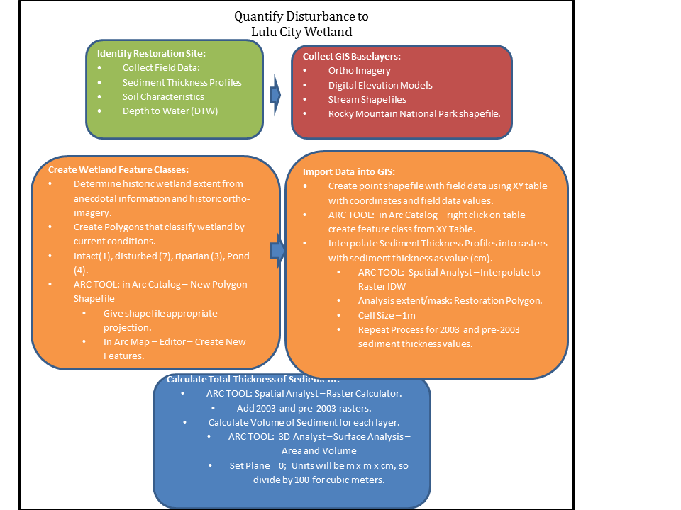 disturbance process